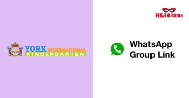 york whatsapp group (1)